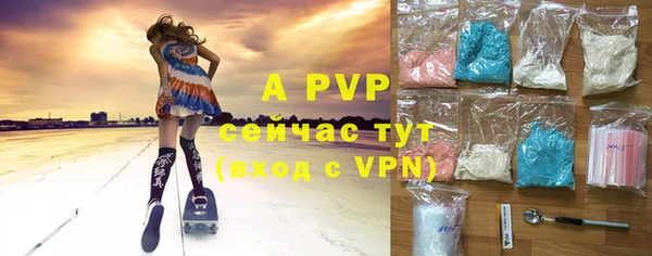 apvp Богородицк